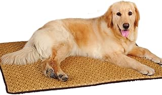 SHYPwM Tapis for Chien Tapis De Sol Cool Pad Kennel Summer Pet Pad Ice Pet Summer Exclusive Dog and Cat (Color : B, Size : M)