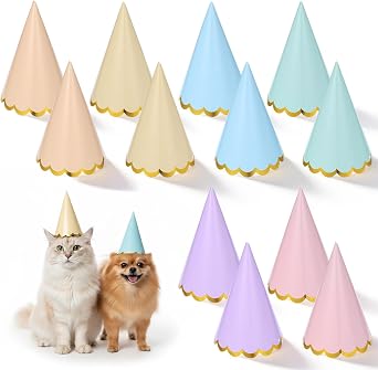 12PCS Pastel Party Hats, Colorful Cone Birthday Hats | Party Hat with Elastic Cords Party Headwear for Birthday Baby Shower Bridal Celebration Wedding Party's Supplies
