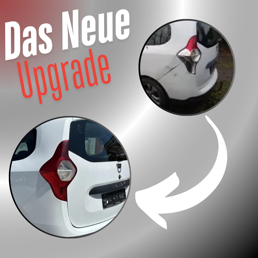 Fanale posteriore per fanale posteriore compatibile con Dacia Lodgy dal 2012 con test E 265502184R 265558016R (a destra)