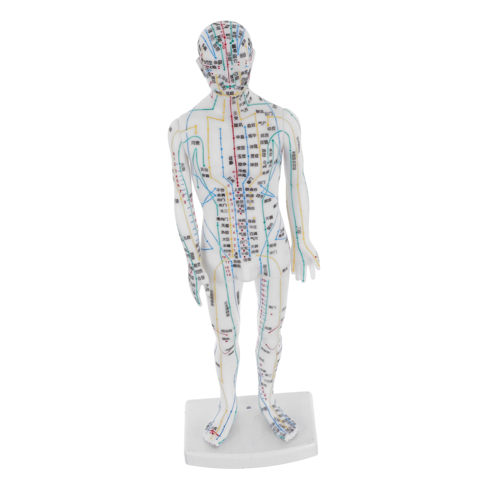 Manichino Meridiani Corpo Umano Bianco in Plastica per Agopunti | Aule Cliniche, Istruzioni Localizzazione, Supporto Gestione Salute, Professionisti, Operatori del Massaggio