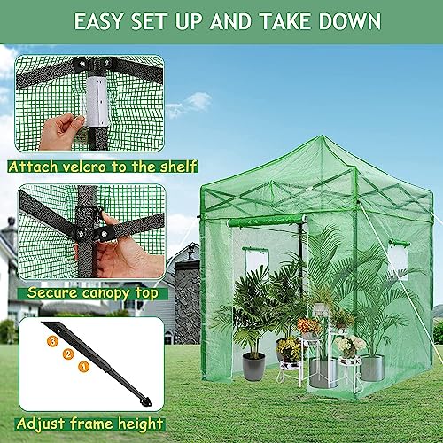 Rlairn Pop Up Greenhouse For Outdoors Heavy Duty With Roll-Up Door And Screen Windows Walk In Green House For Plants With Pe Cover Portable Greenhouses For Patio Backyard 6.6X6.6X9.5 Ft #TOP1