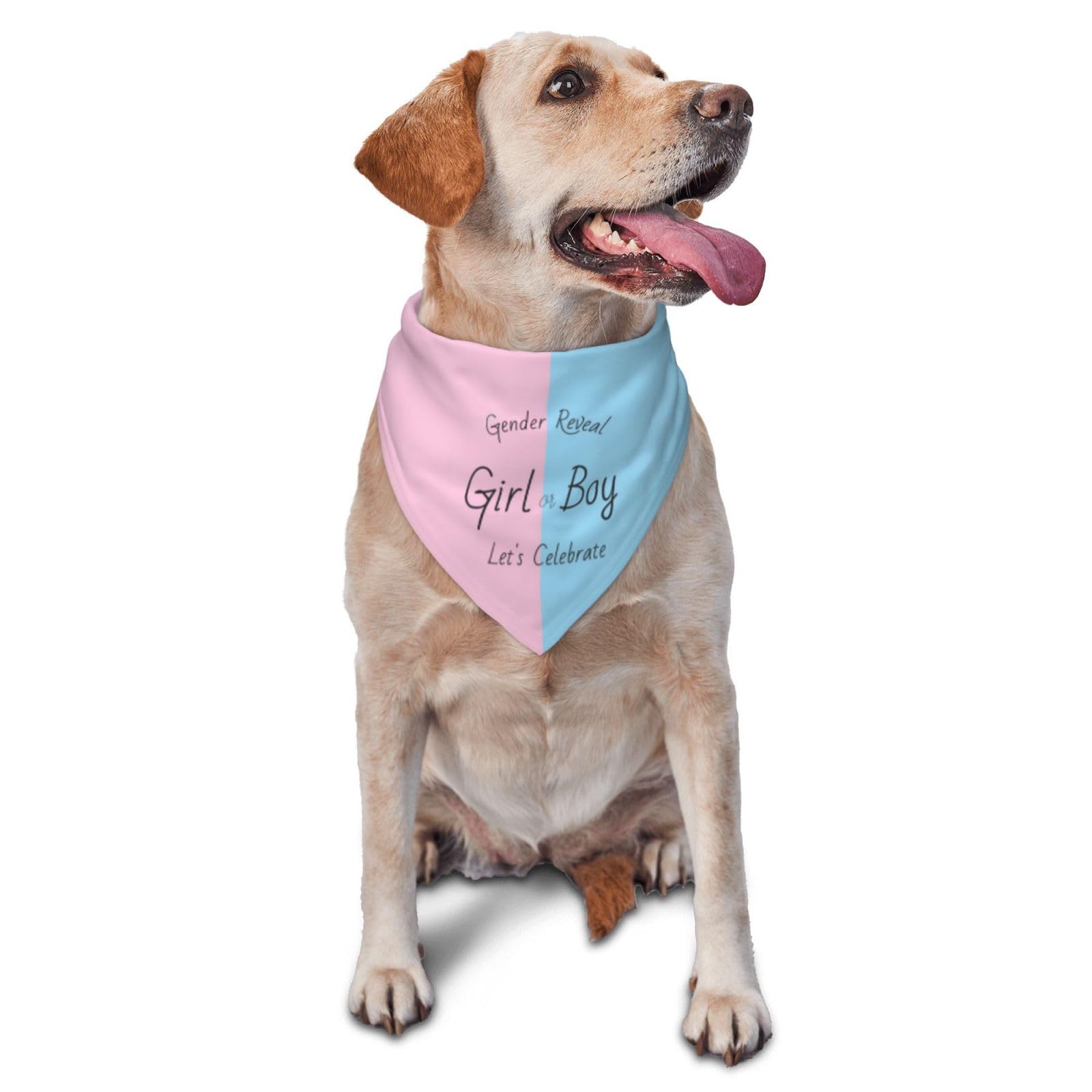 He Or She What Will It Be Gender Reveal Baby Announcement Dog Bandana Pet Neckerchief for Pets Daily