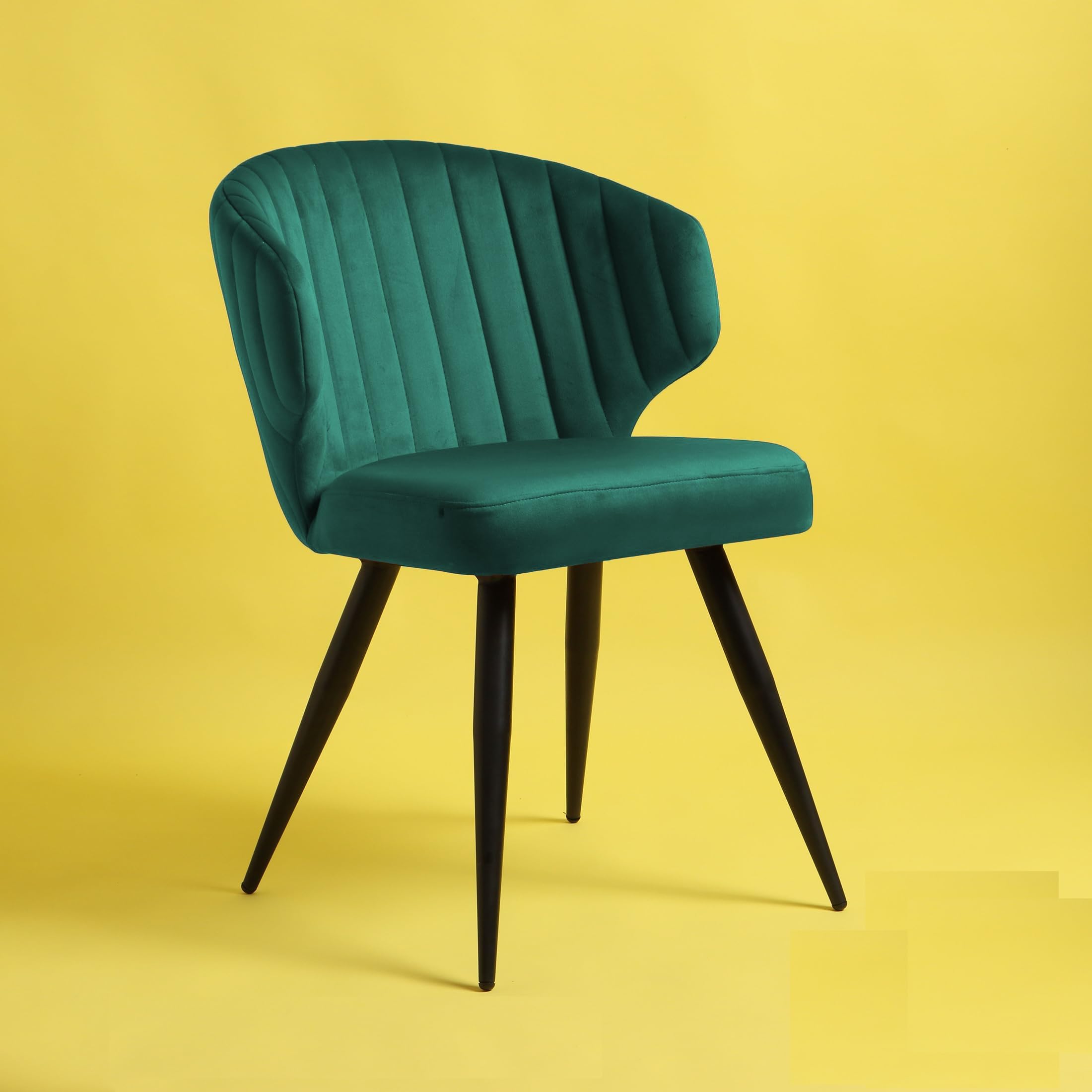 Finch Fox Shree Velvet Dining Chairs in Light Blue Color with Black