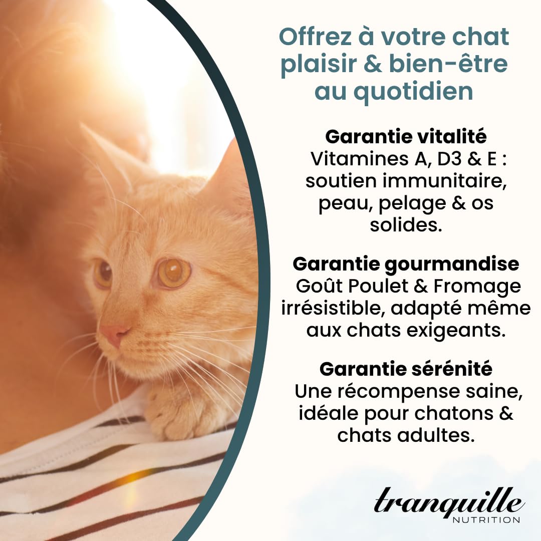 Tranquilo Golosinas Gato Crunch' Pollo Queso (40 x 60 g) | Vitaminas A D3 E Croqueta Gato | Snack Saludable y Sabroso Gatito y Gato Adulto | Ayuda a Fortalecer la Inmunidad & Huesos