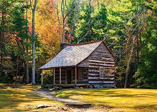 Loccor Fabric 5x3ft Mountain Log Cabin Photography Backdrop Restored Cottage Forest Trees Autumn Mountains National Park Background Adult Children Outdoor Portrait Photo Booth Studio Props