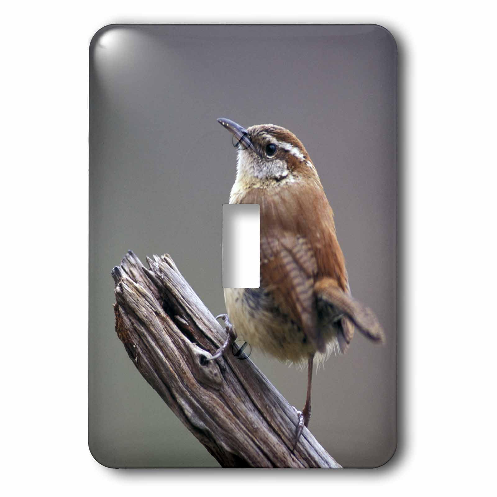 Interrupteur Carolina Wren Bird remplacer plaque murale unie