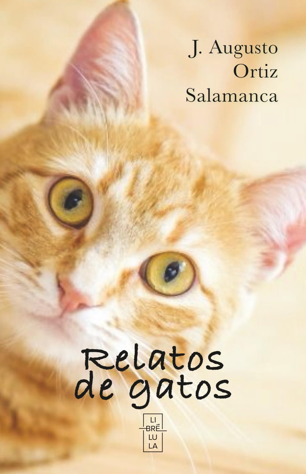 Relatos de gatos