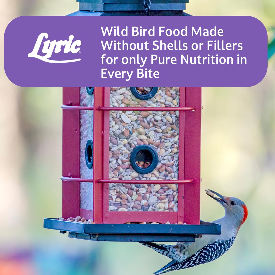 Lyric 2647462 Delite - Mezcla para aves silvestres sin residuos de alta proteína, 9 kilos