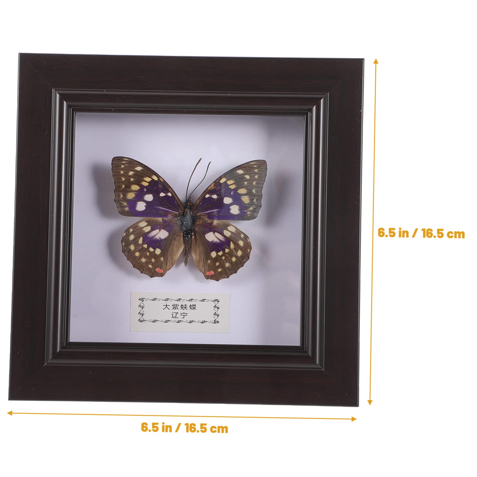 Anneome Simulated Butterfly Specimen Photo Frame Wall Hanging Exquisite Specimen DIY Display Frames Home Decor