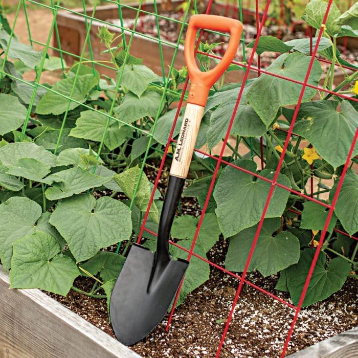 A.M. Leonard Floral Shovel (14-1/2-Inch D-Grip Handle)
