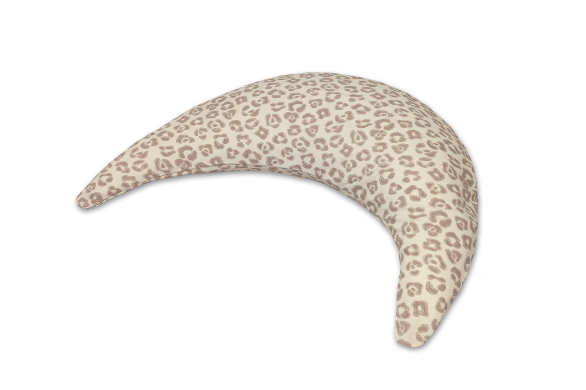 bambus rufa kaufen Bambus rufa (Fargesia rufa) | 60-80 cm im Topf