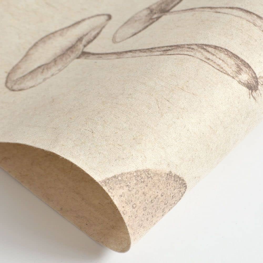 アンティーク調、壁掛け　キノコ Amazon | 壁紙屋本舗 はがせる 壁紙 亜麻壁紙 アンティーク 図鑑