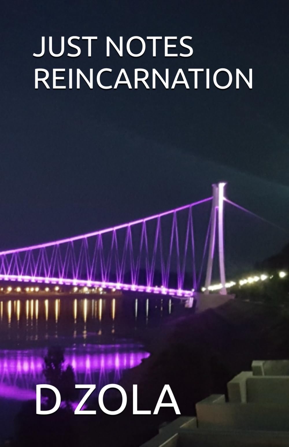 JUST NOTES REINCARNATION