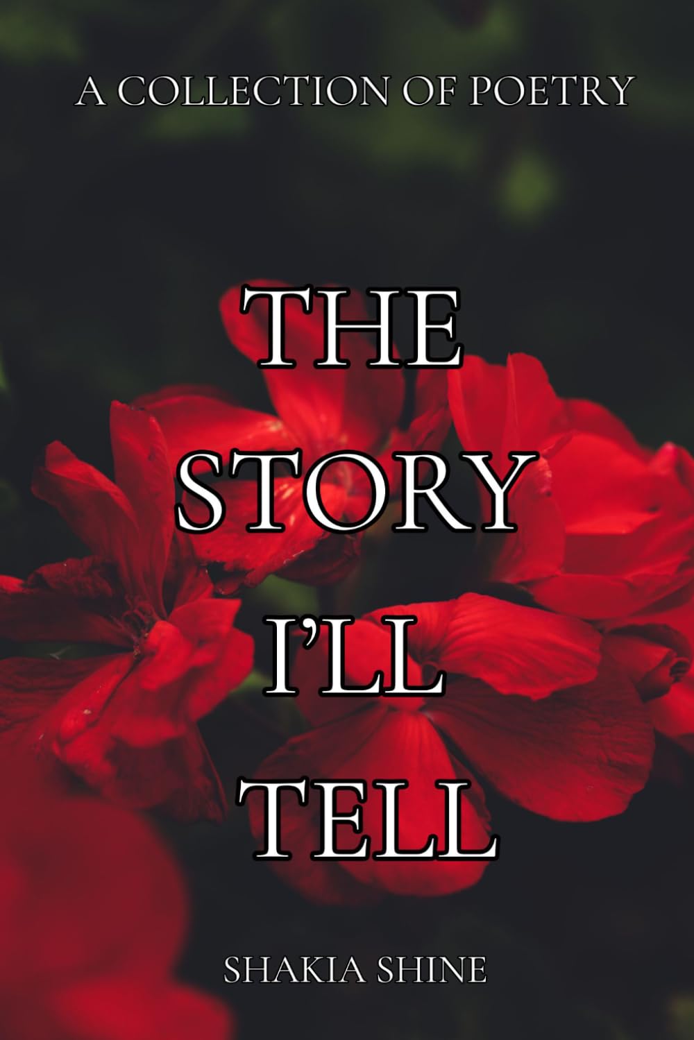 The Story I'll Tell