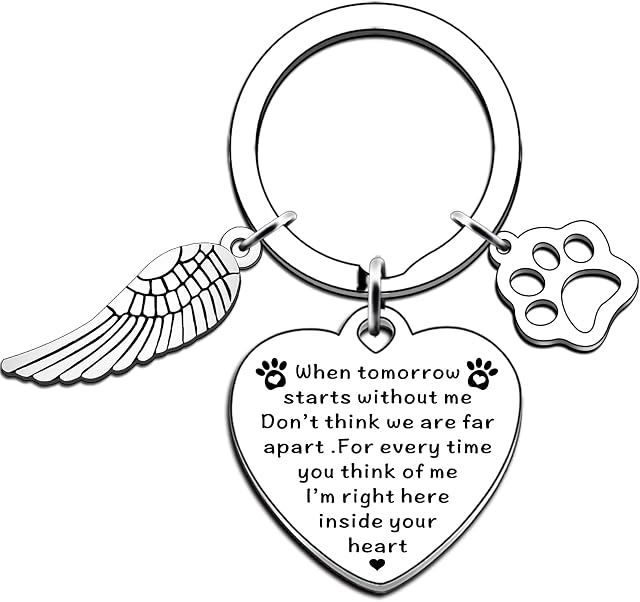 AMZQ Pet Memorial Gifts Loss of Pet Memorial Keyring Sympathy Gifts Memory of Family Dog Cat Pet Keyring Remembrance Gift for Pet Dog Cat Lover Memorial Keyring Angel with Paws