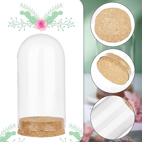 Miniatura 2 de PH PandaHall Cúpula de cristal transparente Cloche, vitrina con base de corcho, botellas de decoración para almacenamiento de flores, decoración de