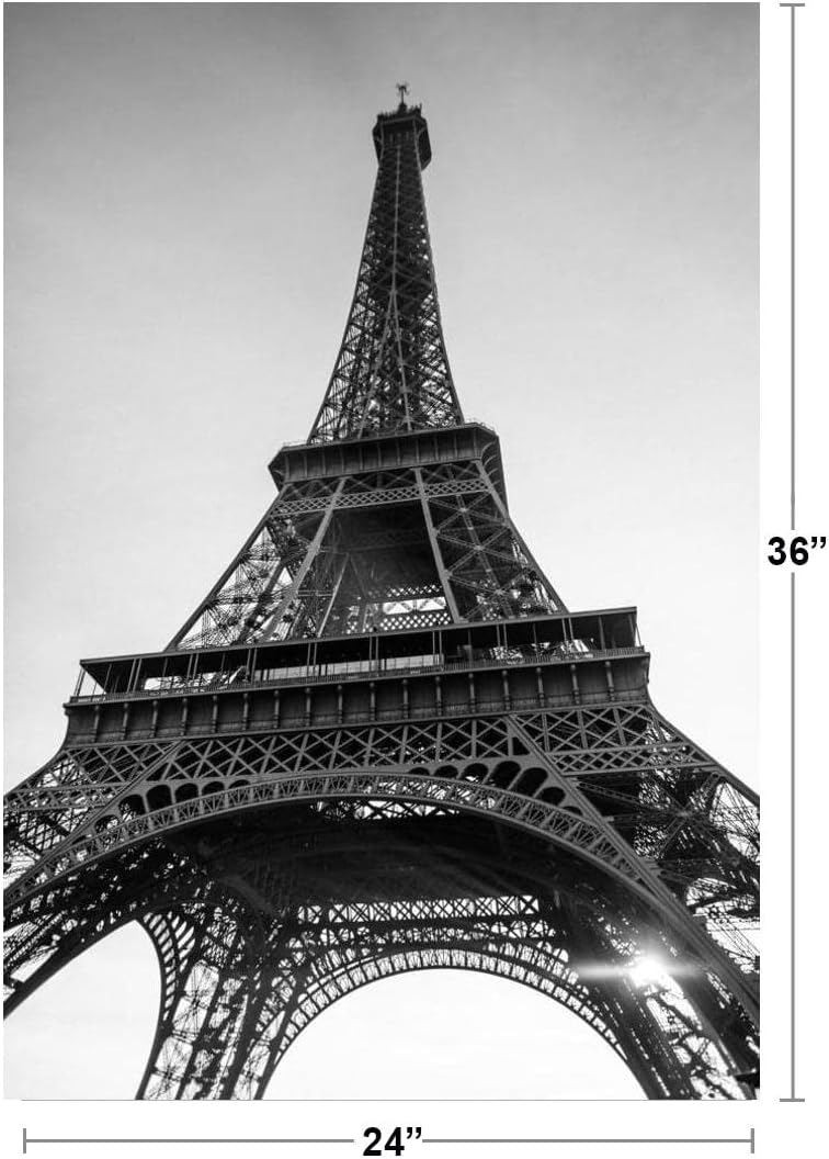 Eiffel Tower Paris France in Black and White Photo Photograph Cool Wall Art Print Poster 24x36