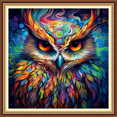 Image of Funchey Stamped Cross Stitch Kits, DIY Cross Stitch Pattern for Adults Beginners Needlepoint Kits Embroidery Kit Arts and Crafts 11CT-Magic Owl 18x18 inch