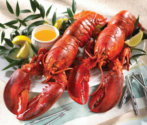 Lobster Gram LG2J LOBSTER GRAM DINNER FOR TWO WITH 2 LB LOBSTERS