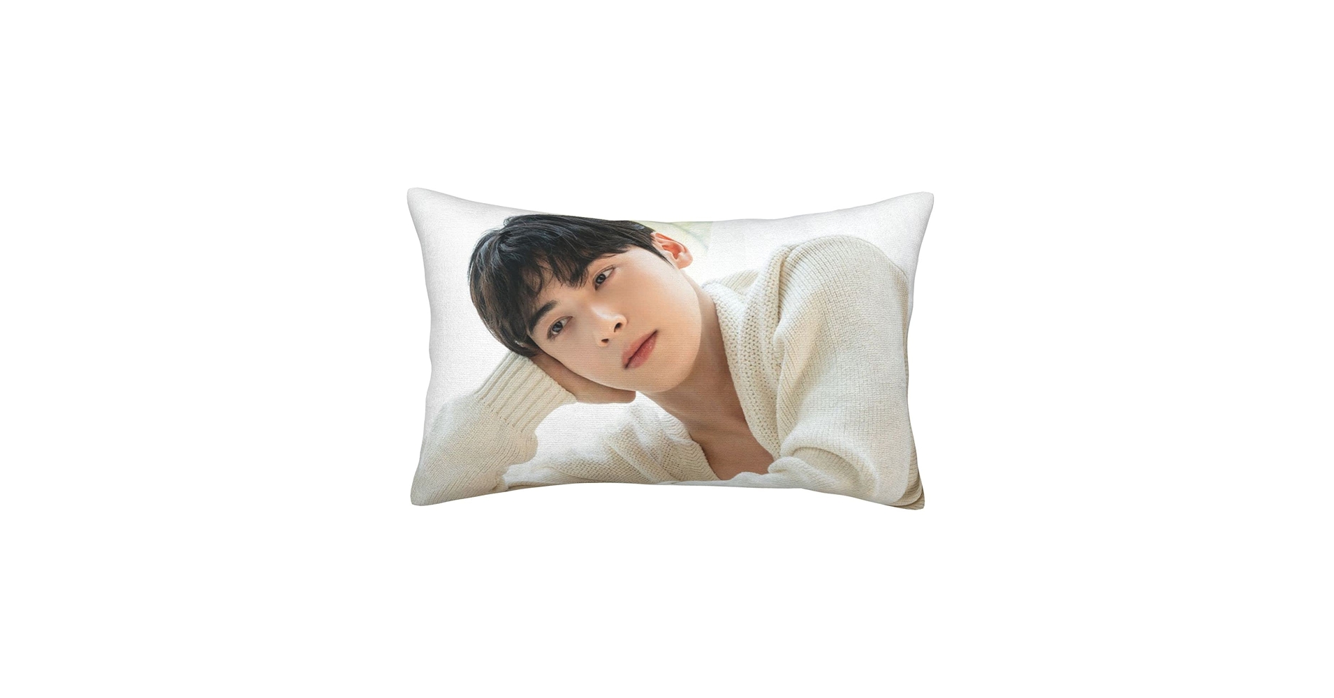 60✕40　チャウヌ枕カバー22番　ASTRO 60✕40 チャウヌ枕カバー22番 ASTRO 60✕40 チャウヌ枕カバー22