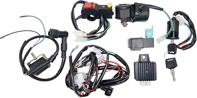 Baceyong Electrics Wiring Harness, Full Electrics Wiring Harness Coil Loom Ignition System for 50cc 70cc 90cc 110cc 125cc PIT Quad Dirt Bike Motorbike ATV Dune Buggy