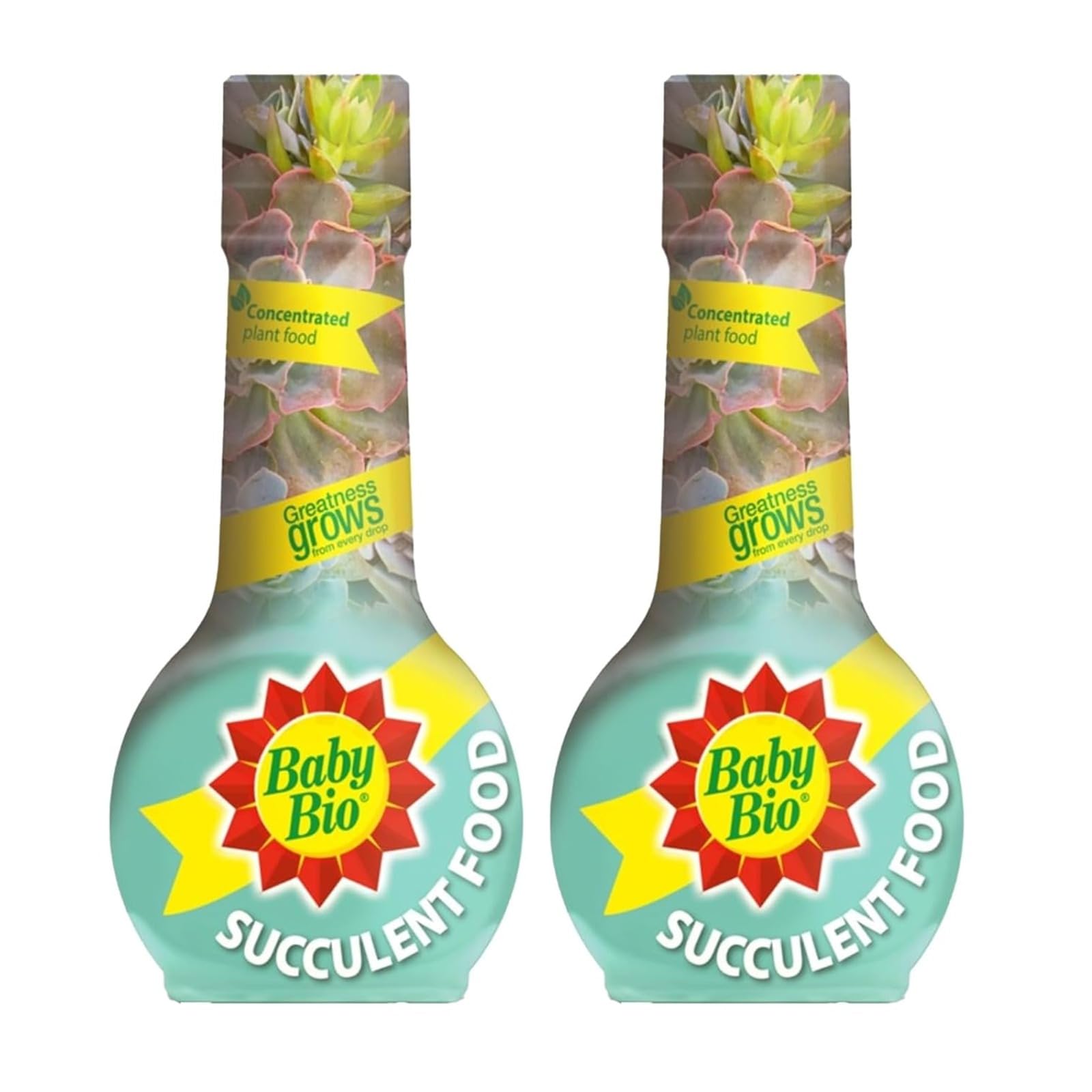 Baby Bio Succulent Food Concentrated Plant Feed, Liquid Nutrition for Succulents & Cacti, Indoor & Greenhouse Plant Care, 175 ml (2 Pack)