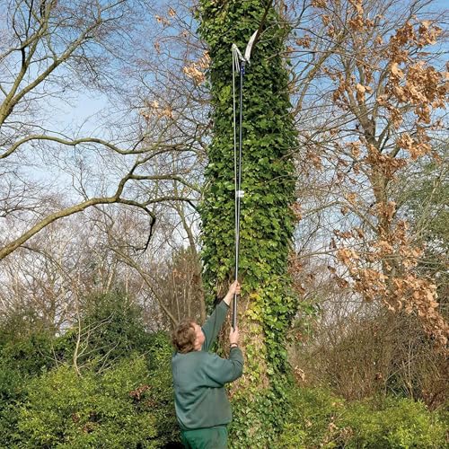 Élagueuse télescopique Razorsharp Spear & Jackson 4930FZ coupe branche télescopique de jardin
