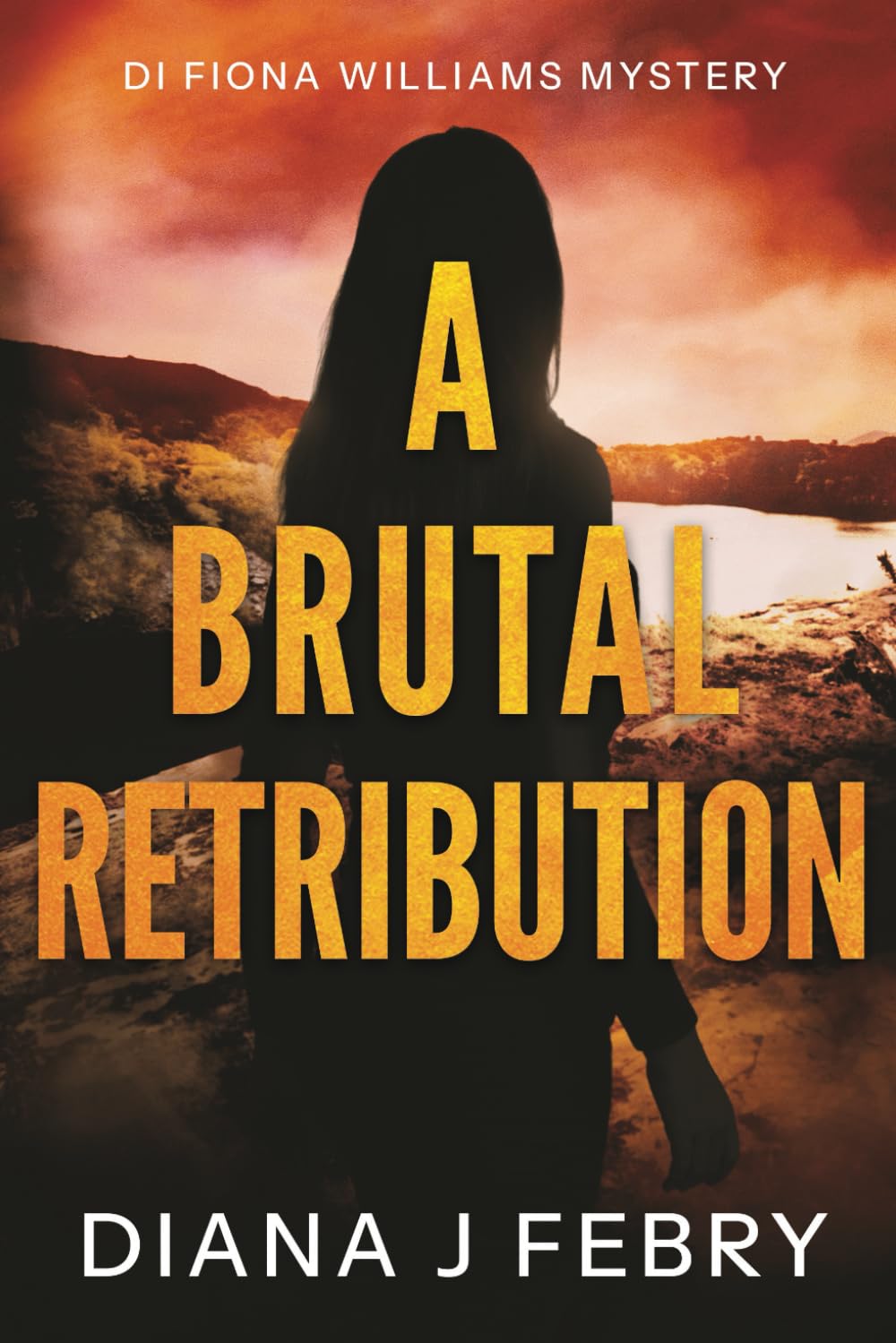 A Brutal Retribution (A DI Fiona Williams Mystery)