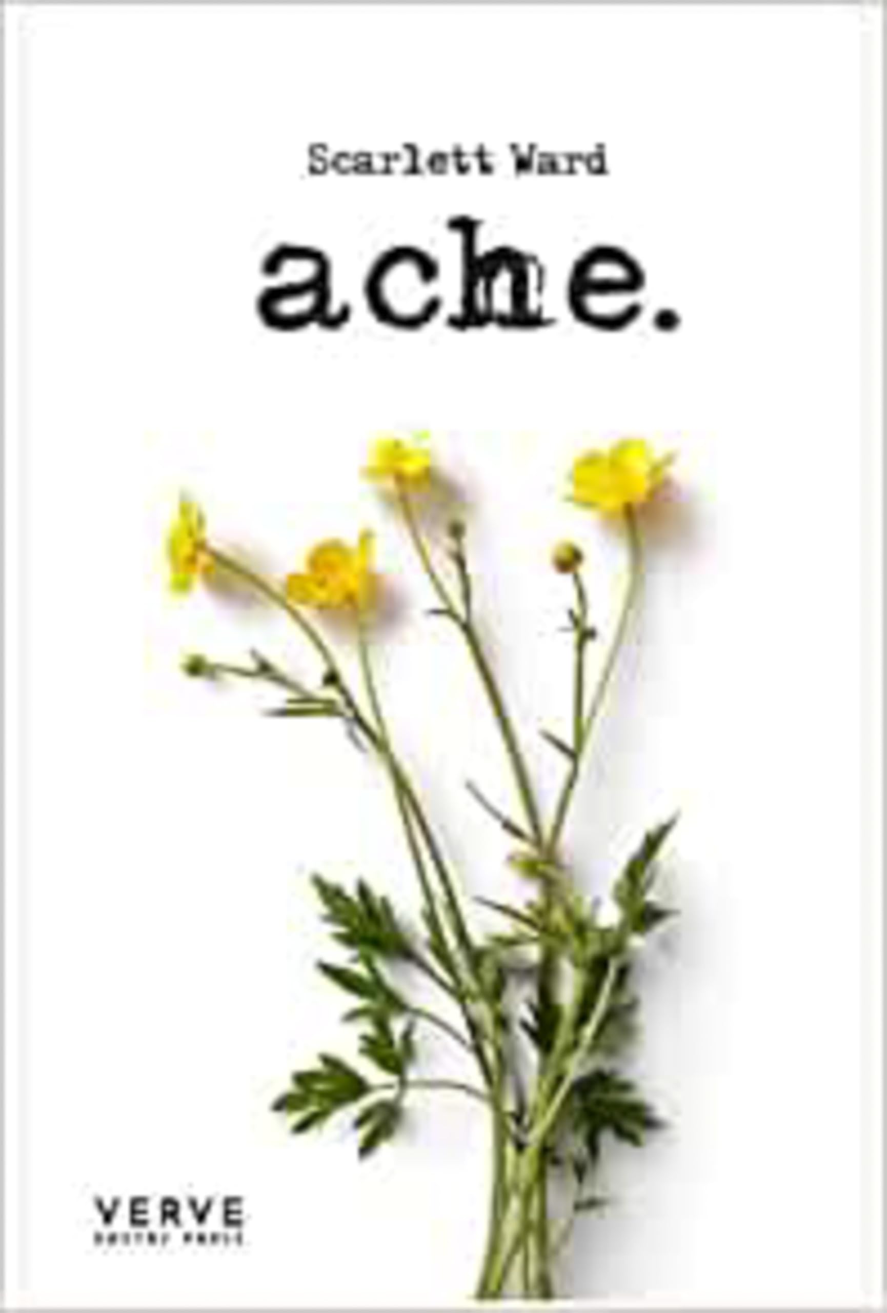 Ache by Scarlett Ward PAPERBACK 9781912565238