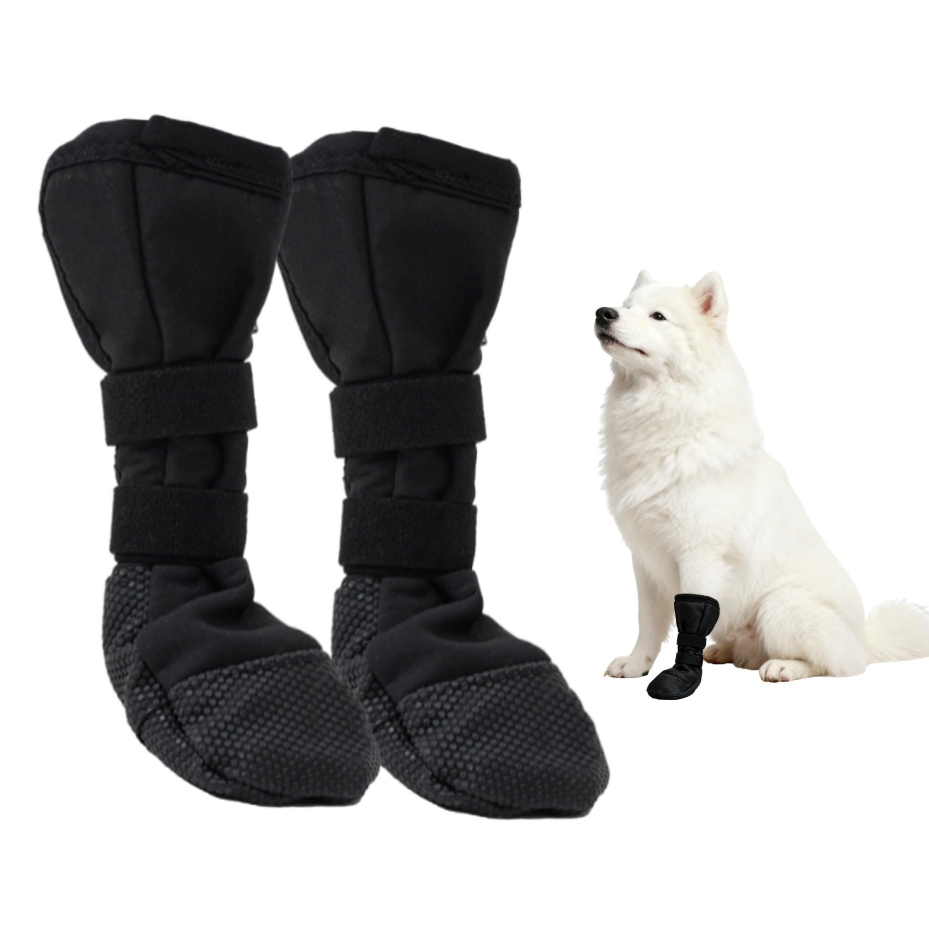 BnbnPup Schutz