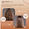ARGANICARE| Argan Oil Restoring Shampoo | Dry & Damaged Hair | Gentle Daily Cleansing | Softness, Shine & Manageability | 400 ml