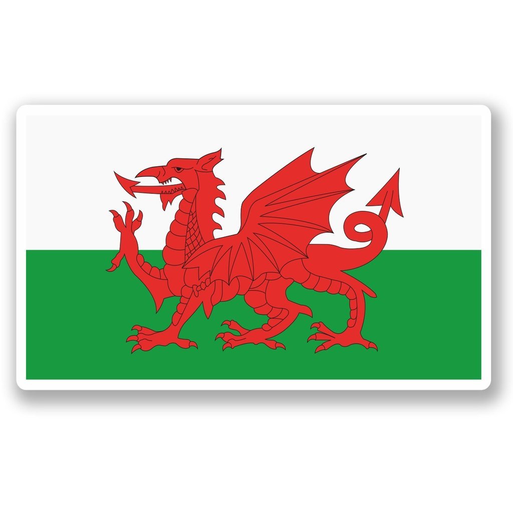 Destinationvinyl 2 X 25Cm/250Mm Wales Welsh Flag Window Cling Sticker Car Van Campervan Glass #5315