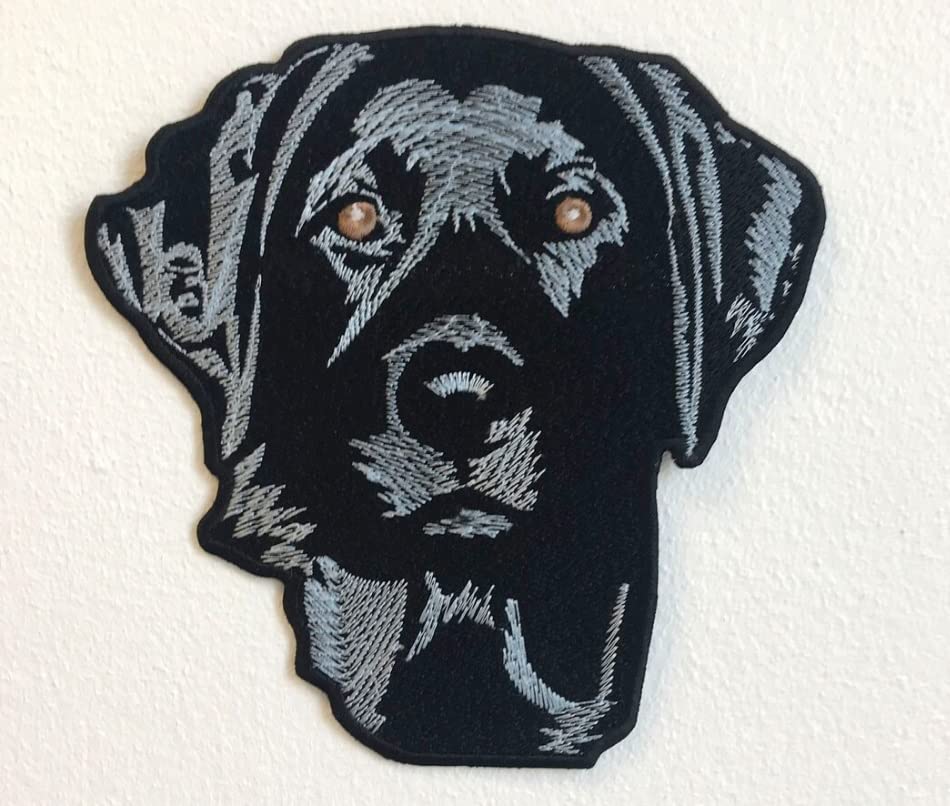 Blue Lab Labrador Retriever Dog Large Jacket/Sew on Embroidered Patch 15 by 15 cm (Labrador Dog 1 (B0C5T88QWP) Amazon Price History, Amazon Price Tracker