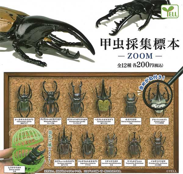 Amazon | 甲虫採集標本 ZOOM 虫かご風カプセル入り【全12種セット