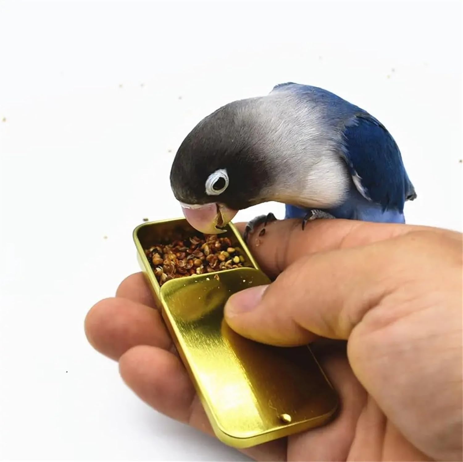 Bird Training Food Jar 30pcs Iron Tank for Bird Feeding Educational IQ Growth Parrot Bird Training Food Jar Bird Feeder Training Tools Training for Canary Finch Outdoor Use(Rose Gold)