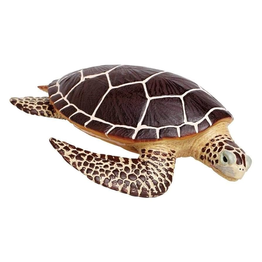 Safari  Incredible Creatures ( インクレディブル クリーチャーズ ) ウミガメ ベビー 268129 71DtiC9KhKL._UF350,350_QL80_.jpg