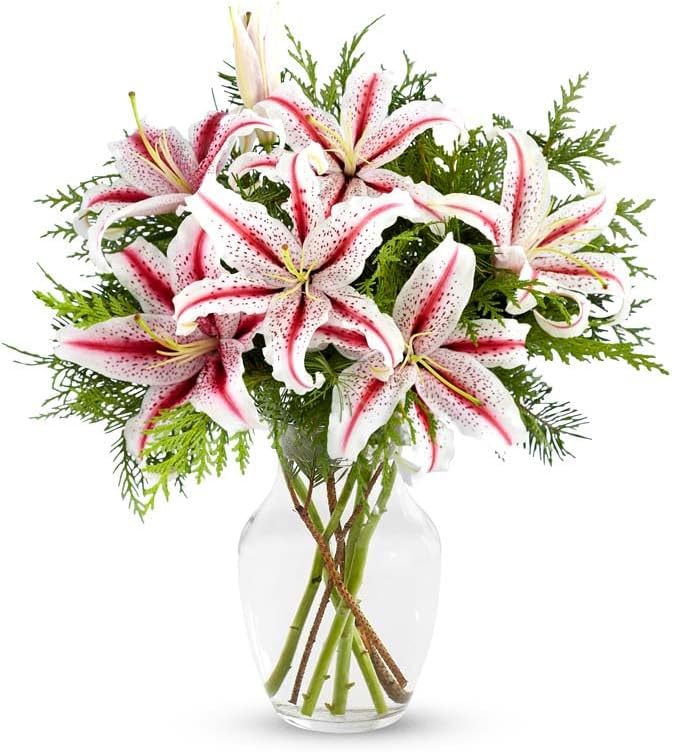 DELIVERY BY TUESDAY, 12/24 GUARANTEED IF ORDER PLACED BY 12/23 BEFORE 2PM EST From You Flowers - Peppermint Striped Stargazer Lilies with Glass Vase (Fresh Flower Bouquets) Birthday, Anniversary, Get