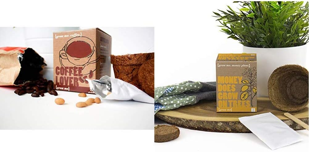 Grow Me Coffee Lover & Gift Republic Ltd Grow Me Money Does Grow On Trees