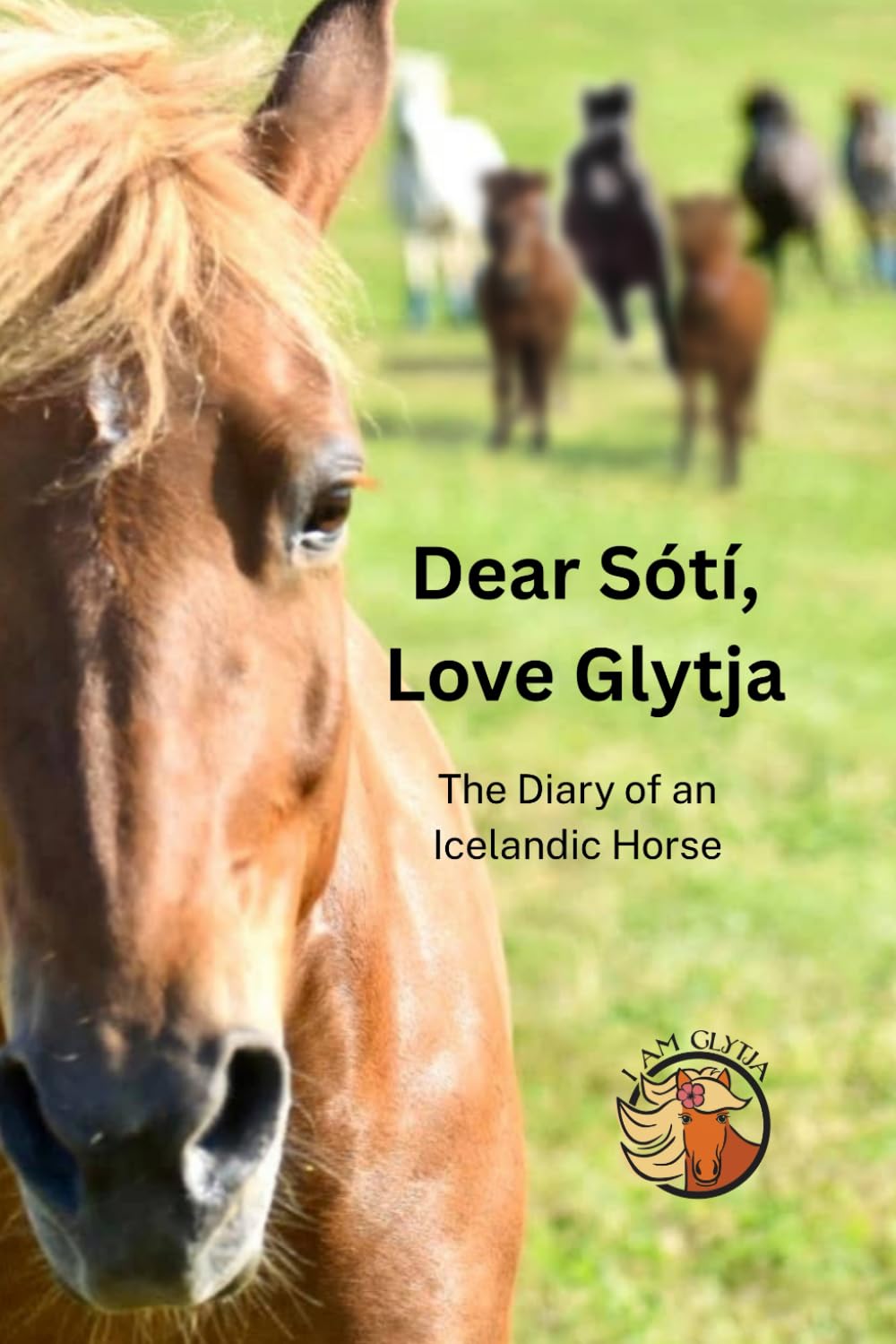 Dear Soti, Love Glytja: The Diary of an Icelandic Horse