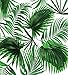 Ambesonne Palm Leaf Duvet Cover Set, Realistic Vivid Leaves of Palm Tree Growth Ecology Botany Themed Print, Decorative 3 Piece Bedding Set with 2 Pillow Shams, Queen Size, Fern Green White
