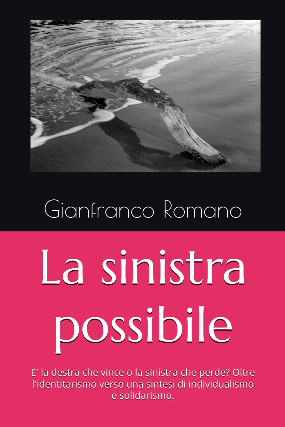 La sinistra possibile: E' la destra che vince o la sinistra che perde? Oltre l'identitarismo verso una sintesi di individualismo e solidarismo.