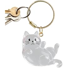 Iouyjiu Pet Memorial Keychain | Cat Hair Storage Bag Keychain, Portable Decorative Pet Keepsake for All Generations Men and Women Travel Backpack Holiday Birthday