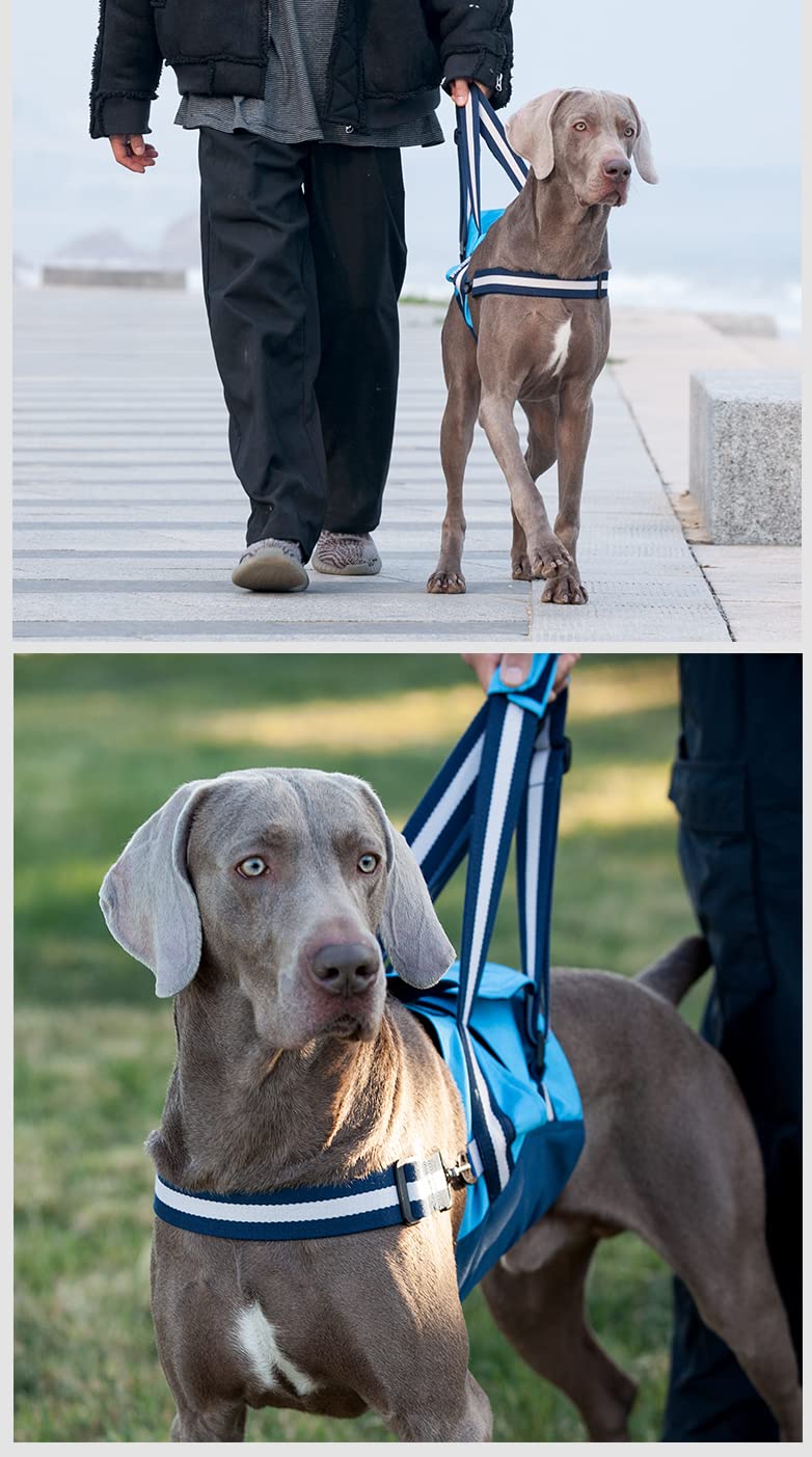 Imbracatura per cani per cani, tracolla per cani feriti, anziani o limitati, portatile per riabilitazione, diverse misure di sicurezza (M)