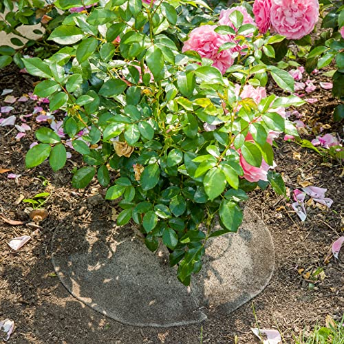 La cordeline 2 Mulchscheiben, Wolle, 600 g/m², 30 cm, Natur