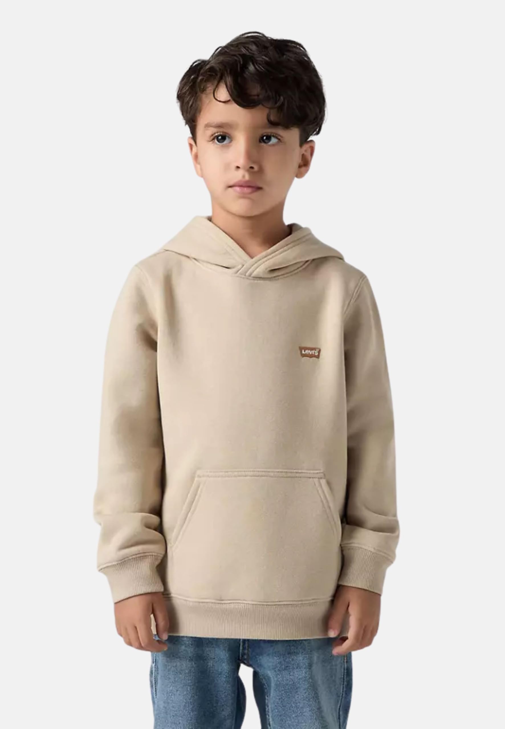 Levi's Bluza z kapturem Chłopcy Levi's Kidsmini Batwing Hoodie Hooded Sweatshirt