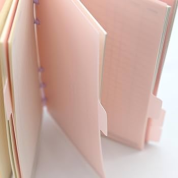 Amazon.co.jp: TSUKURIRO B6 バイブル プラスチック