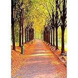【Uso】: Apto para fotografía, imágenes, fotomatón, decoración del hogar, papel tapiz, cortina, mantel, fondo o decoración de la pared de la ducha del bebé, decoración de la fiesta de cumpleaños, telón de fondo de fotografía de disfraces, fiesta de cumpleaños de niños, etc.