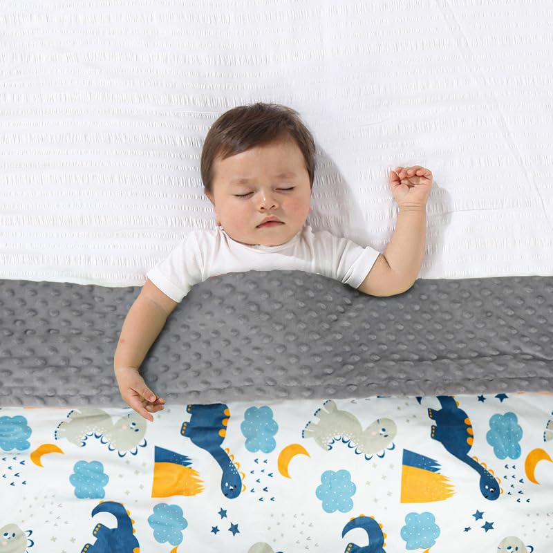 Image of Baby Blanket for Girls Boys Animal Minky Super Soft Double Layer Receiving Blanket with Dotted Backing for Newborns Nursery Stroller Receiving Toddlers Crib Bedding 30x40Inch (Cartoon Dinosaur)