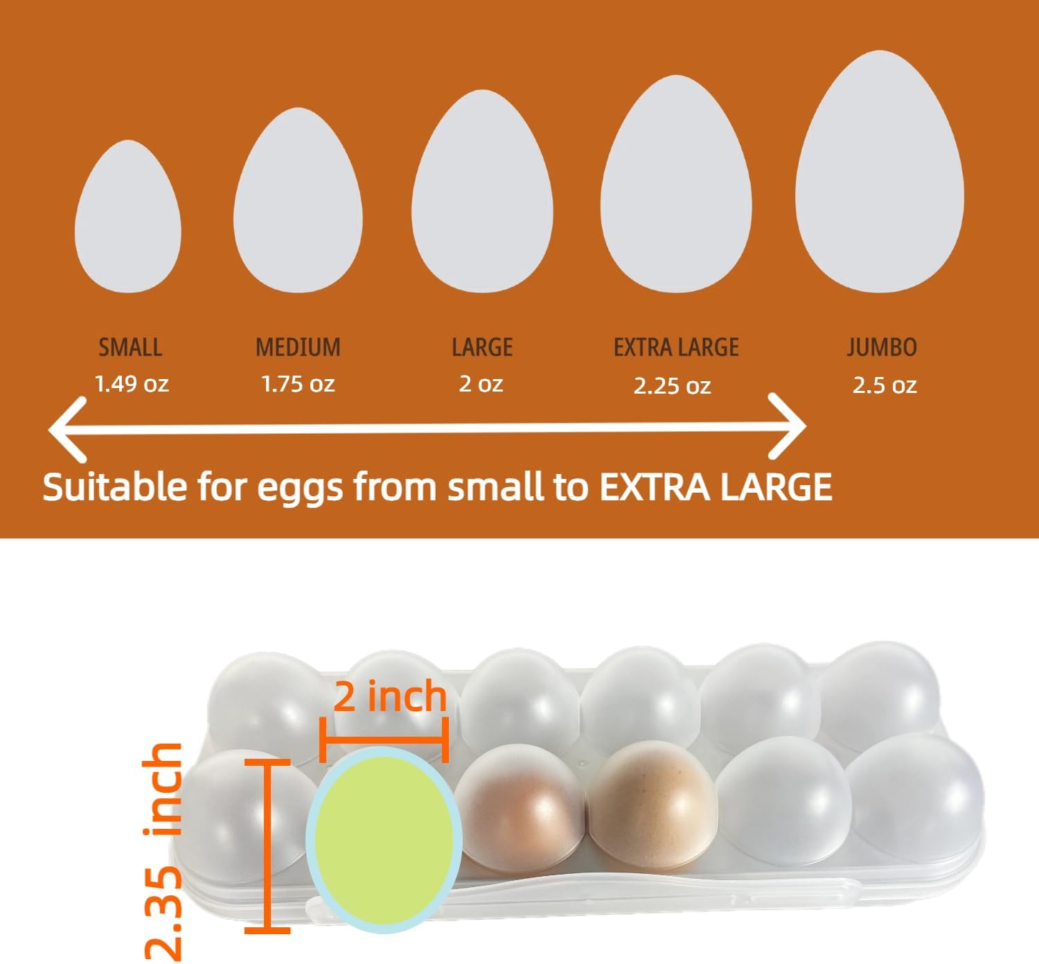 ZeQi 12Grid Shatterproof Transparent Egg Container, Food Grade PP Reusable Egg Holder for Fridge, Kitchen Storage, Camping & Outdoor Use