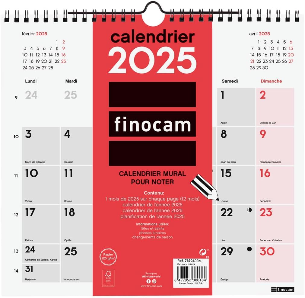 Calendrier Mural 2026 - 12 Mois Chiots Adorables - 28x43 Cm Ouvert - Écologique Et Organisé
